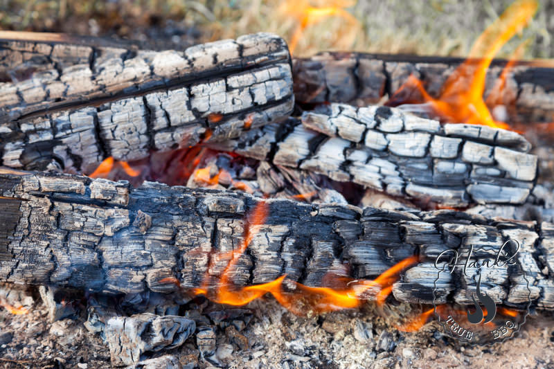 Smoking wood