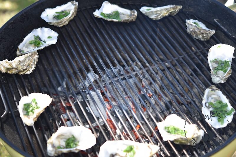 Oysters on the grill